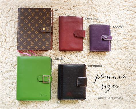 louis vuitton planner sizes|Louis Vuitton mm planner.